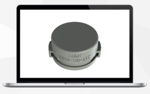 Seal Cap
